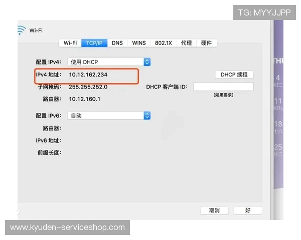 找到AG厅电投官方地址的正确途径与登录步骤详解
