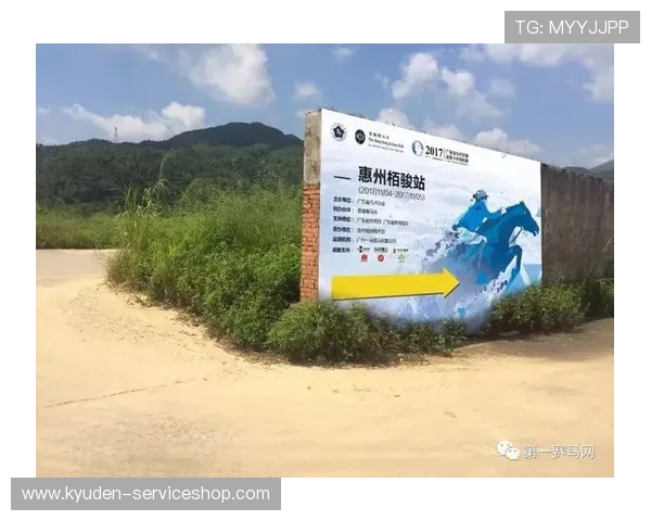 深入了解PA体育中国官网提供的丰富体育赛事信息与报名指南