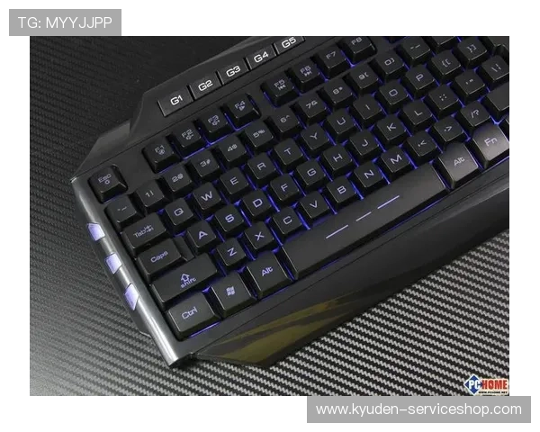 K8真人网游戏种类全面解析，满足不同玩家的娱乐需求与多样化体验方案